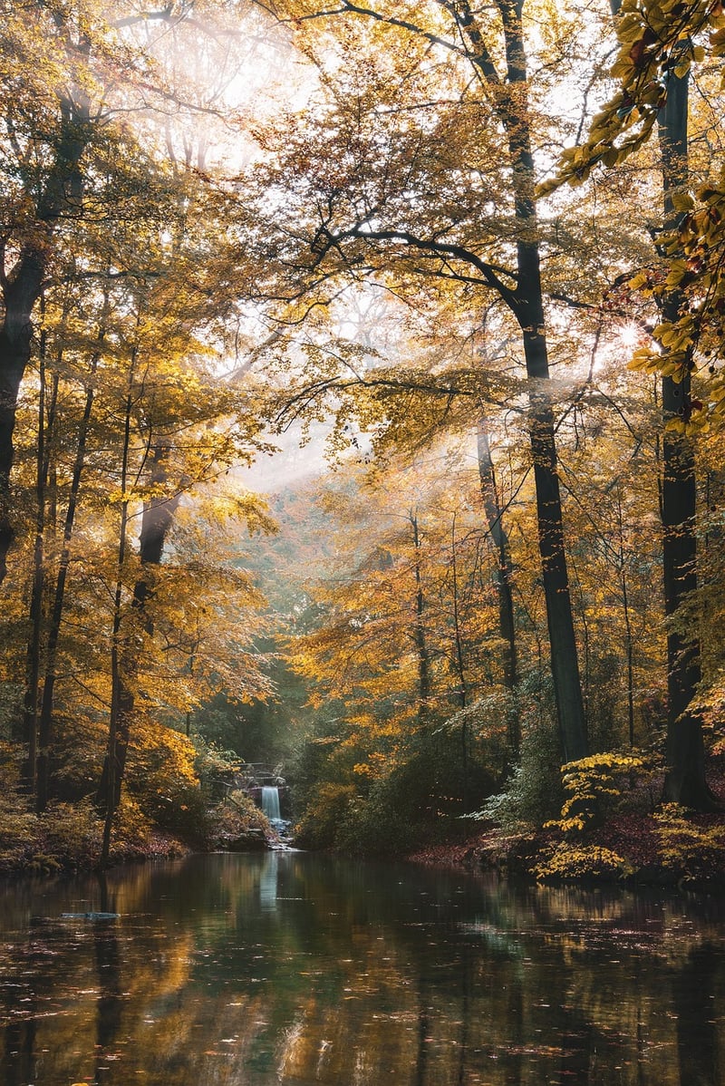 Hidden Waterfall Oasis